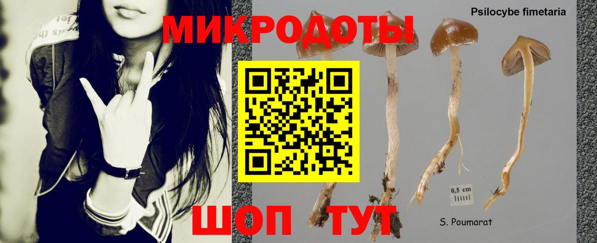 Артём  Галлюциногенные грибы Cubensis  Галлюциногенные грибы Psilocybine cubensis  Вход с VPN 
